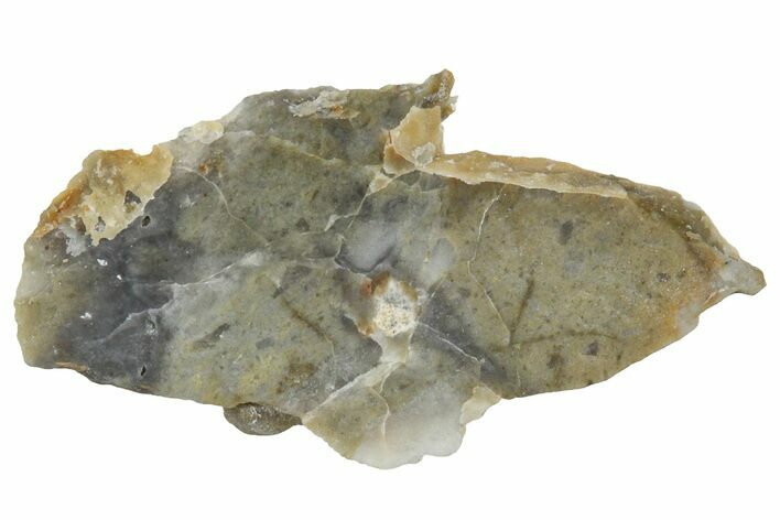 NWA Lunar Meteorite ( g) Slice #360571